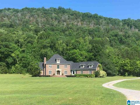 700 Fred Walker Rd, Oneonta, AL 35121 photo 1