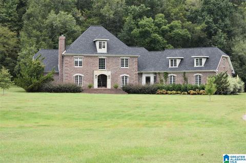 700 Fred Walker Rd, Oneonta, AL 35121 photo 2
