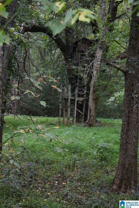 700 Fred Walker Rd, Oneonta, AL 35121 photo 6