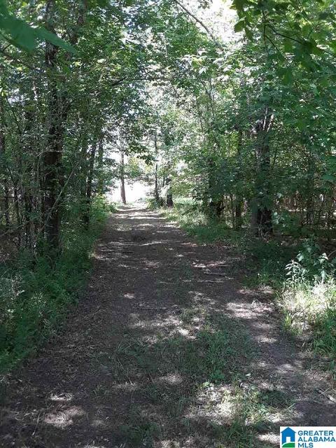 700 Fred Walker Rd, Oneonta, AL 35121 photo 47