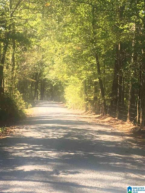 700 Fred Walker Rd, Oneonta, AL 35121 photo 3