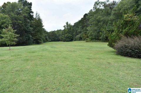 700 Fred Walker Rd, Oneonta, AL 35121 photo 41