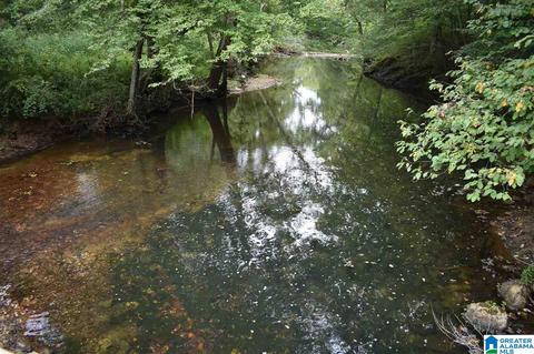 700 Fred Walker Rd, Oneonta, AL 35121 photo 5