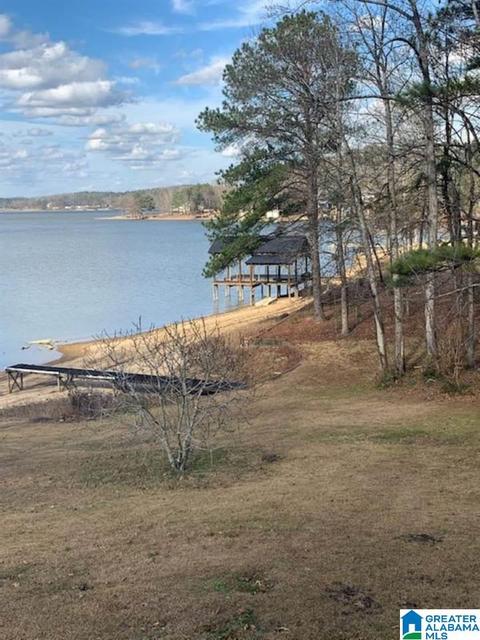 32 Cox Ln, Alpine, AL 35014 photo 4
