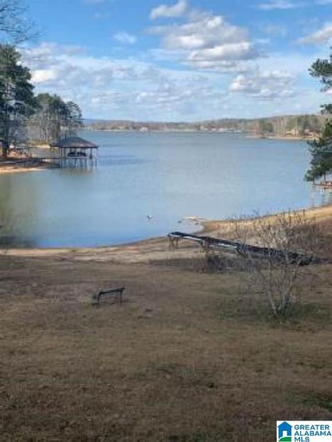 32 Cox Ln, Alpine, AL 35014 photo 3