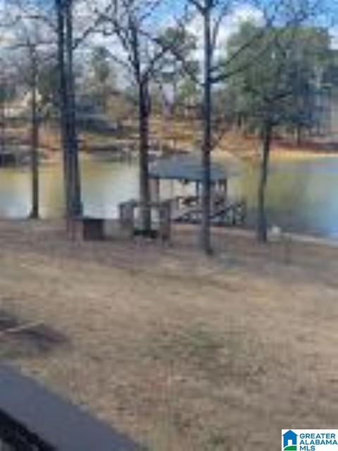 32 Cox Ln, Alpine, AL 35014 photo 6