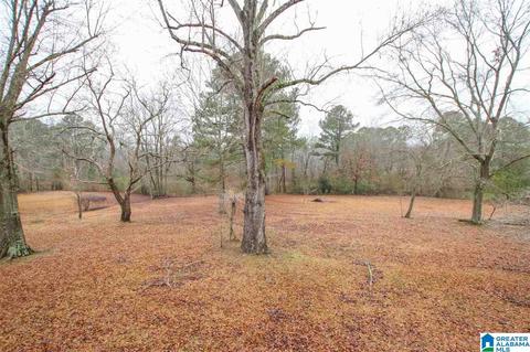 1014 Bryan Rd, Sumiton, AL 35148 photo 47