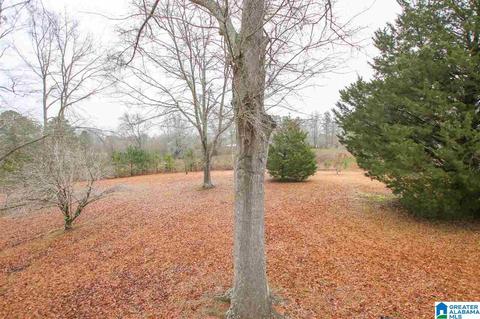 1014 Bryan Rd, Sumiton, AL 35148 photo 42