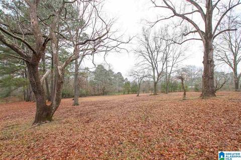 1014 Bryan Rd, Sumiton, AL 35148 photo 45