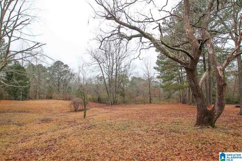 1014 Bryan Rd, Sumiton, AL 35148 photo 44