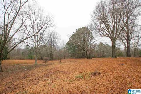 1014 Bryan Rd, Sumiton, AL 35148 photo 46