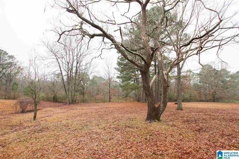 1014 Bryan Rd, Sumiton, AL 35148 photo 43