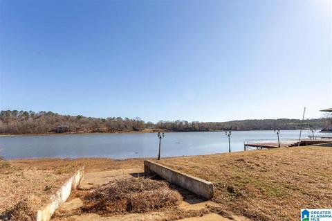 1100 Lock 4 Rd, Riverside, AL 35135 photo 46
