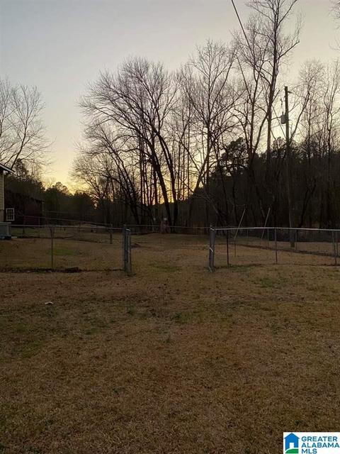 365 House Rd, Remlap, AL 35133 photo 32