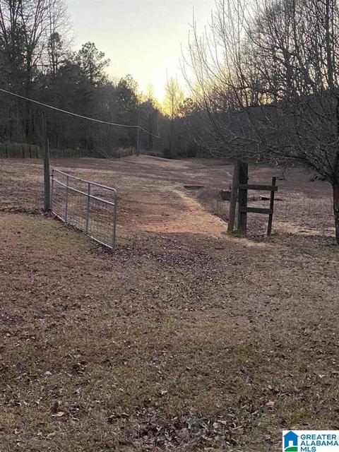 365 House Rd, Remlap, AL 35133 photo 33