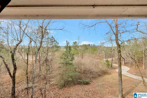 2109 Constellation Dr, Alpine, AL 35014 photo 40