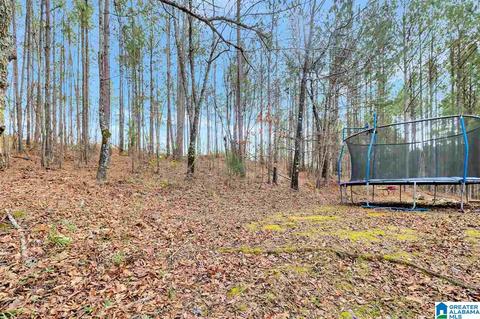 2109 Constellation Dr, Alpine, AL 35014 photo 6