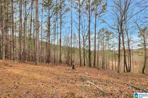 2109 Constellation Dr, Alpine, AL 35014 photo 8