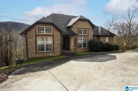 196 Ridgewood Dr, Remlap, AL 35133 photo 1
