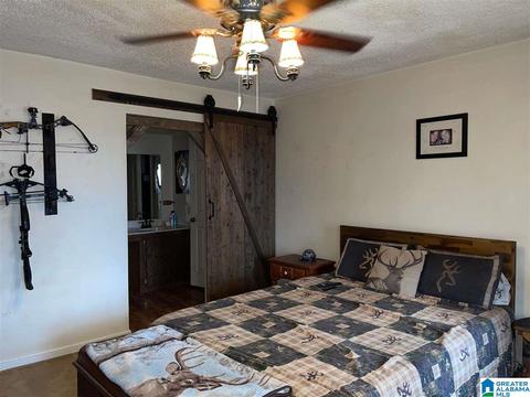 397 Boren Rd, Warrior, AL 35180 photo 33