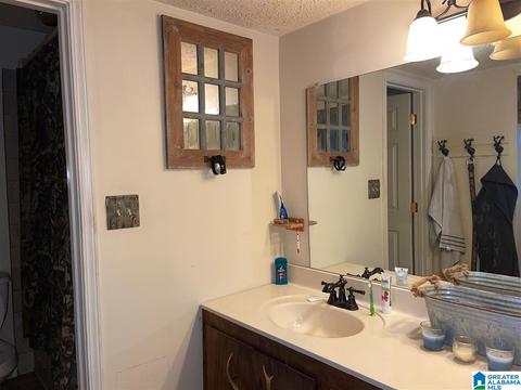 397 Boren Rd, Warrior, AL 35180 photo 36