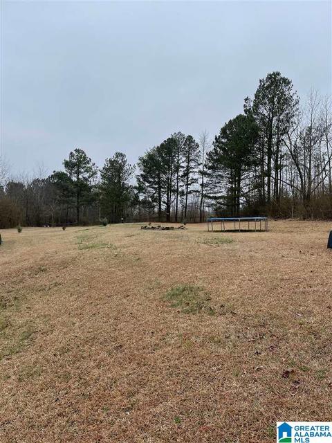397 Boren Rd, Warrior, AL 35180 photo 6