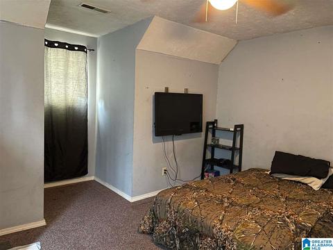 397 Boren Rd, Warrior, AL 35180 photo 11