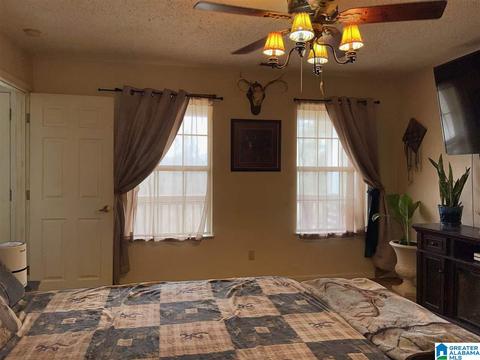 397 Boren Rd, Warrior, AL 35180 photo 35