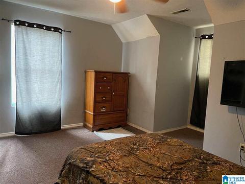 397 Boren Rd, Warrior, AL 35180 photo 10