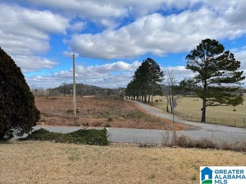 681 Jackson Trace Rd, Ohatchee, AL 36271 photo 7