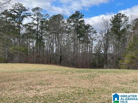 681 Jackson Trace Rd, Ohatchee, AL 36271 photo 8