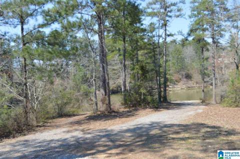 82 Bay Pointe Dr, Jasper, AL 35504 photo 47
