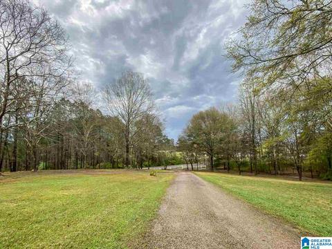 787 Golf Course Rd, Jasper, AL 35504 photo 20