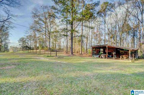 1351 Hinkle Rd, Clanton, AL 35045 photo 31