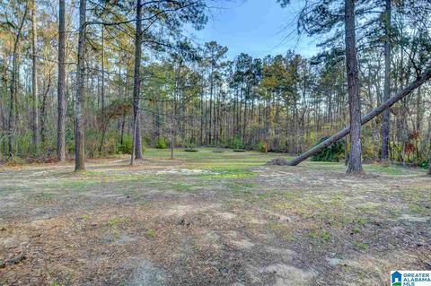 1351 Hinkle Rd, Clanton, AL 35045 photo 33