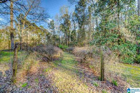 1351 Hinkle Rd, Clanton, AL 35045 photo 10