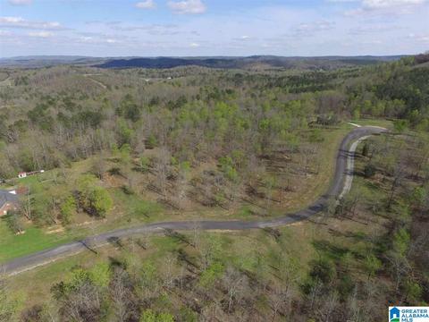 523 Stone Ridge Drive Apt 23 24 25 #23, 24, & 25, Springville, AL 35146