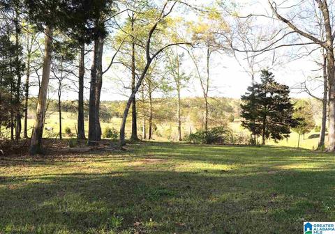 682 Simpson Bend Rd, Ohatchee, AL 36271 photo 14