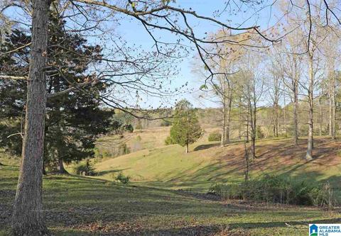 682 Simpson Bend Rd, Ohatchee, AL 36271 photo 4