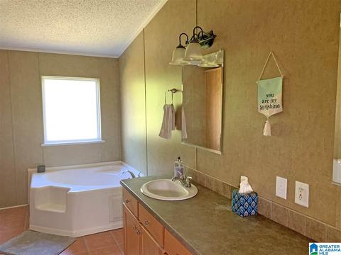 682 Simpson Bend Rd, Ohatchee, AL 36271 photo 6