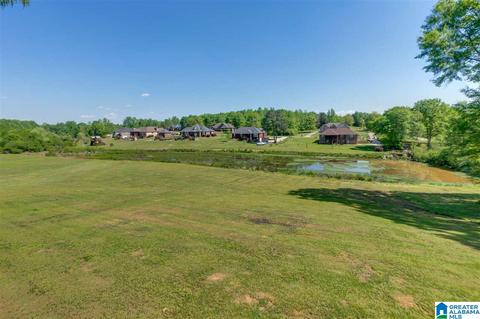 914 Wilson Rd, Clanton, AL 35045 photo 42