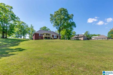 914 Wilson Rd, Clanton, AL 35045 photo 37