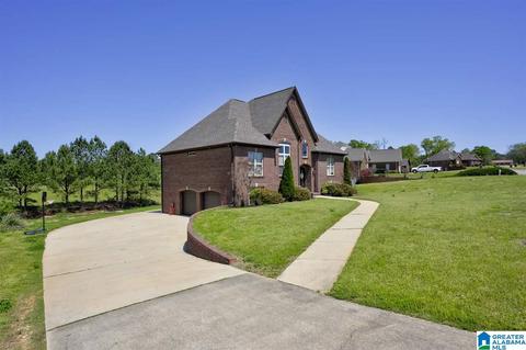 8441 Daniel Trl, Dora, AL 35062 photo 28
