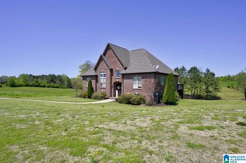 8441 Daniel Trl, Dora, AL 35062 photo 26