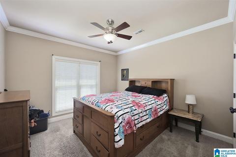 8441 Daniel Trl, Dora, AL 35062 photo 16