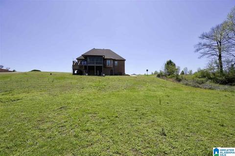 8441 Daniel Trl, Dora, AL 35062 photo 32