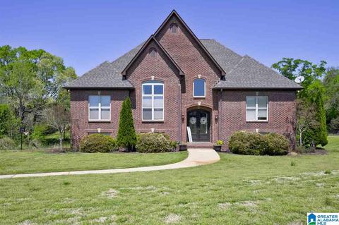 8441 Daniel Trl, Dora, AL 35062 photo 1