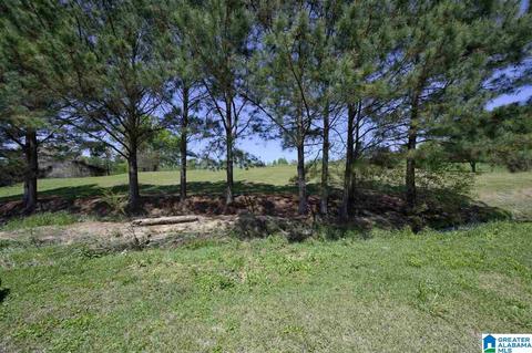 8441 Daniel Trl, Dora, AL 35062 photo 34