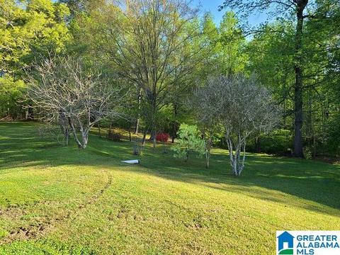 1765 Brookside Rd, Mount Olive, AL 35117 photo 8