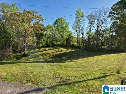 1765 Brookside Rd, Mount Olive, AL 35117 photo 3